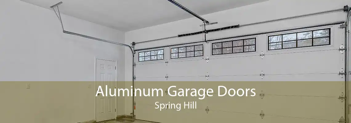 Aluminum Garage Doors Spring Hill