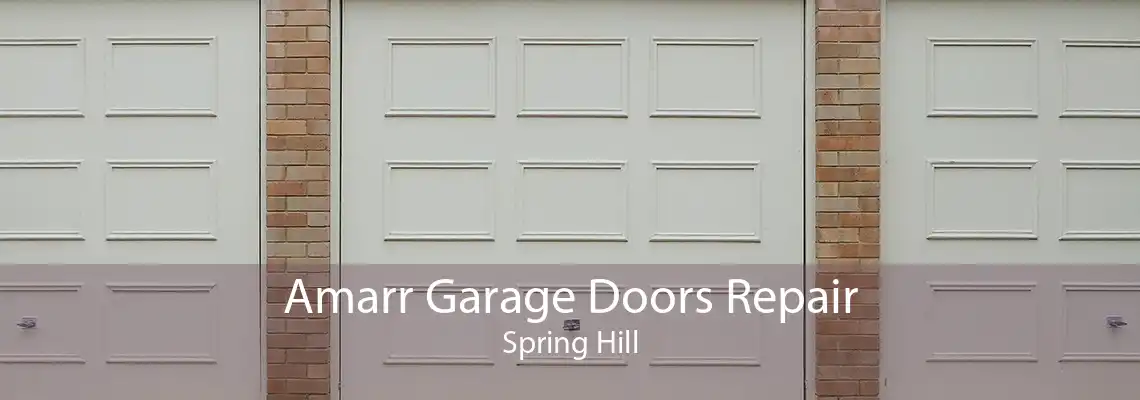 Amarr Garage Doors Repair Spring Hill