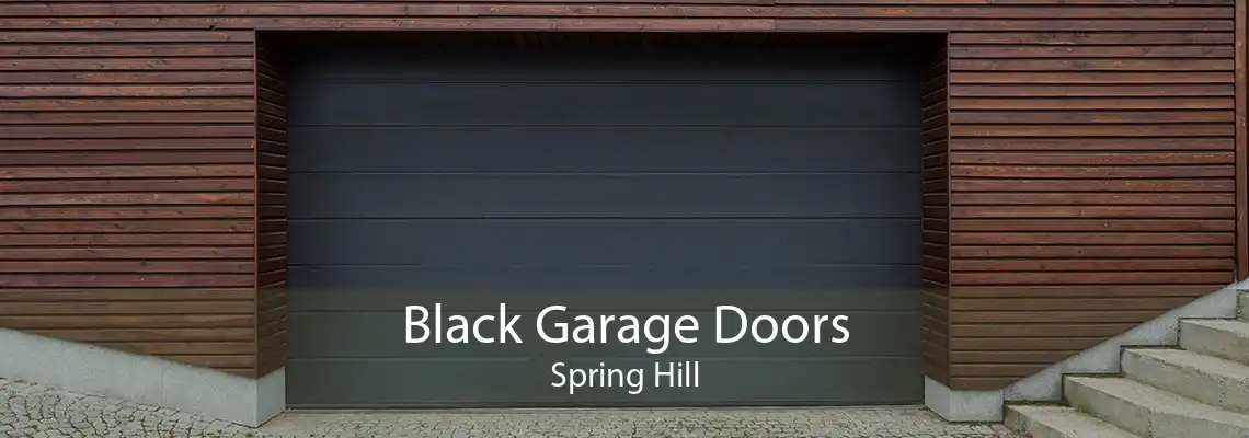 Black Garage Doors Spring Hill