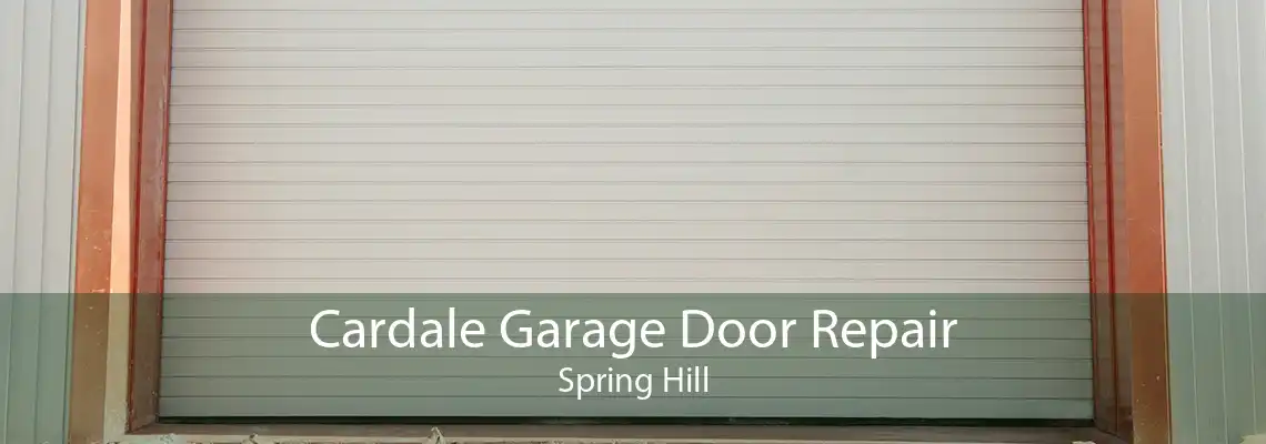 Cardale Garage Door Repair Spring Hill