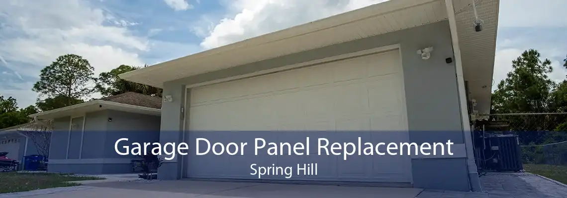 Garage Door Panel Replacement Spring Hill