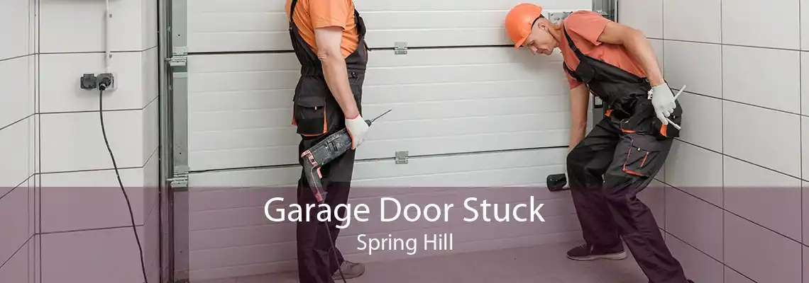 Garage Door Stuck Spring Hill