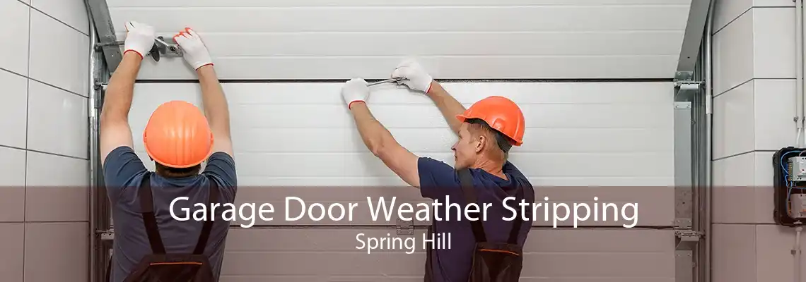 Garage Door Weather Stripping Spring Hill