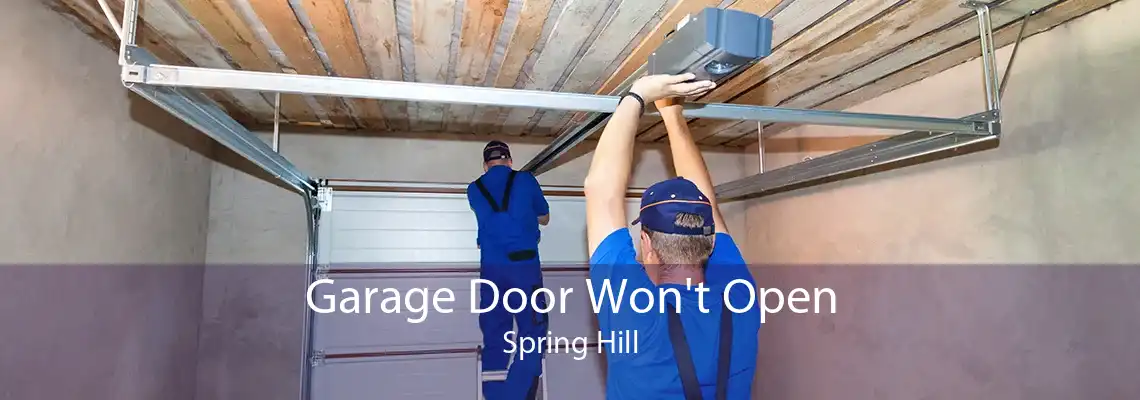 Garage Door Won't Open Spring Hill
