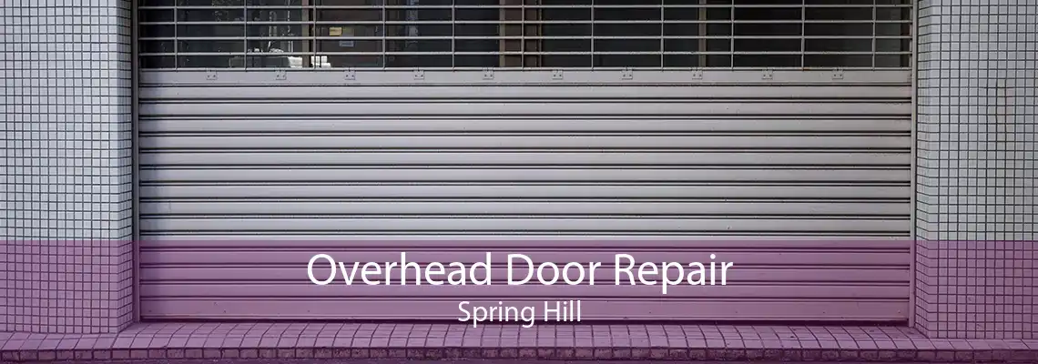 Overhead Door Repair Spring Hill