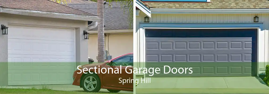 Sectional Garage Doors Spring Hill