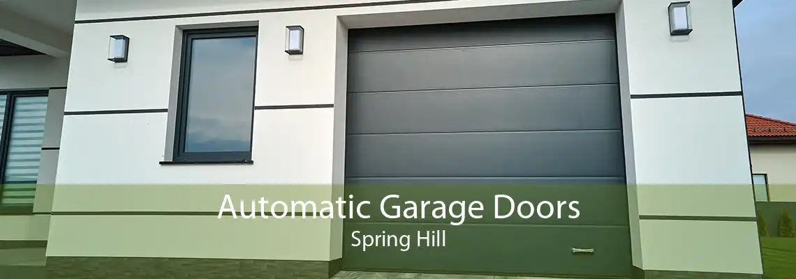 Automatic Garage Doors Spring Hill