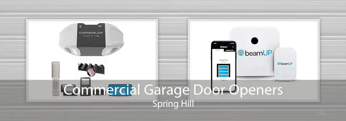 Commercial Garage Door Openers Spring Hill