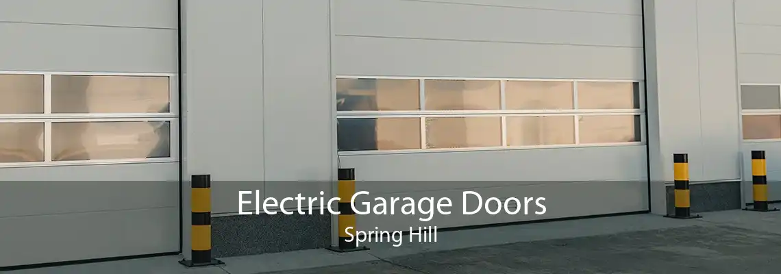 Electric Garage Doors Spring Hill