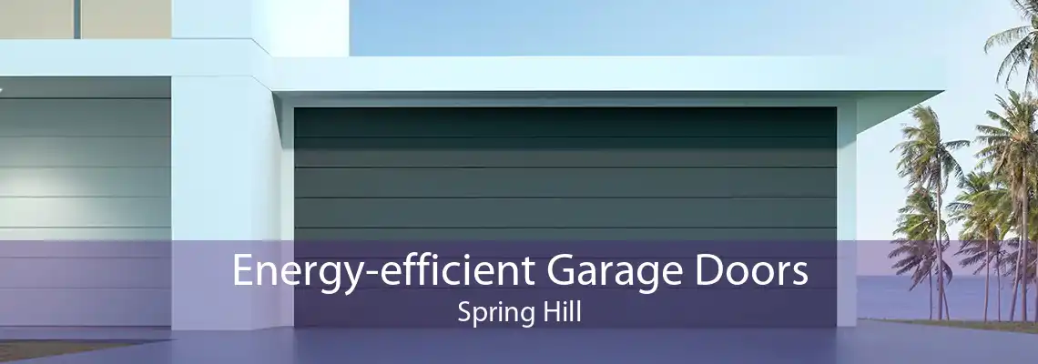 Energy-efficient Garage Doors Spring Hill