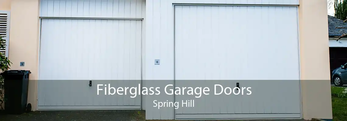 Fiberglass Garage Doors Spring Hill