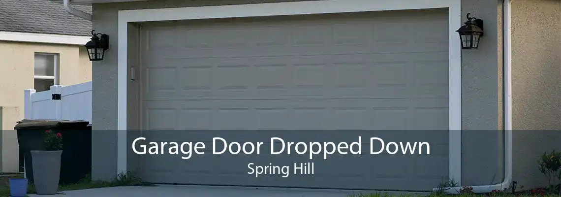 Garage Door Dropped Down Spring Hill