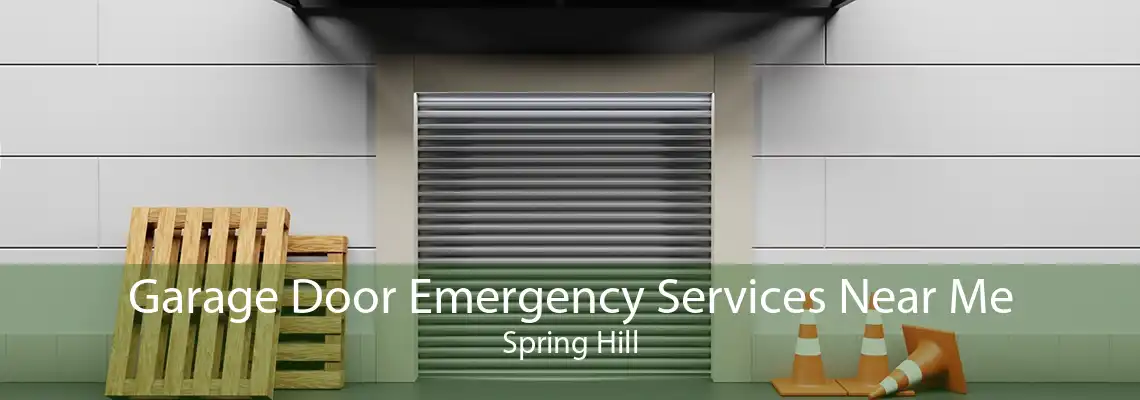 Garage Door Emergency Services Near Me Spring Hill