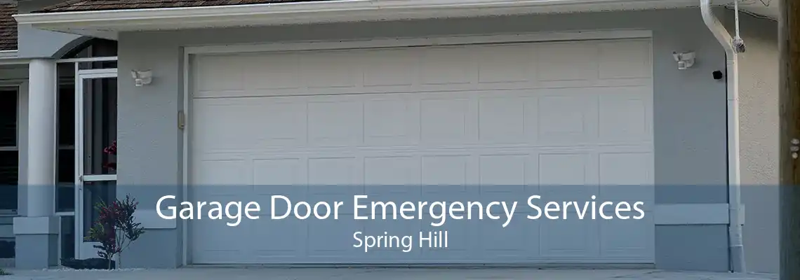 Garage Door Emergency Services Spring Hill