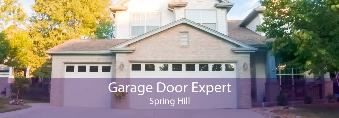 Garage Door Expert Spring Hill