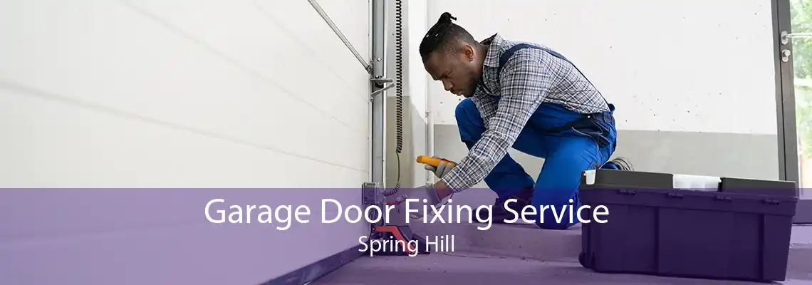 Garage Door Fixing Service Spring Hill