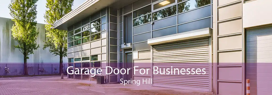 Garage Door For Businesses Spring Hill