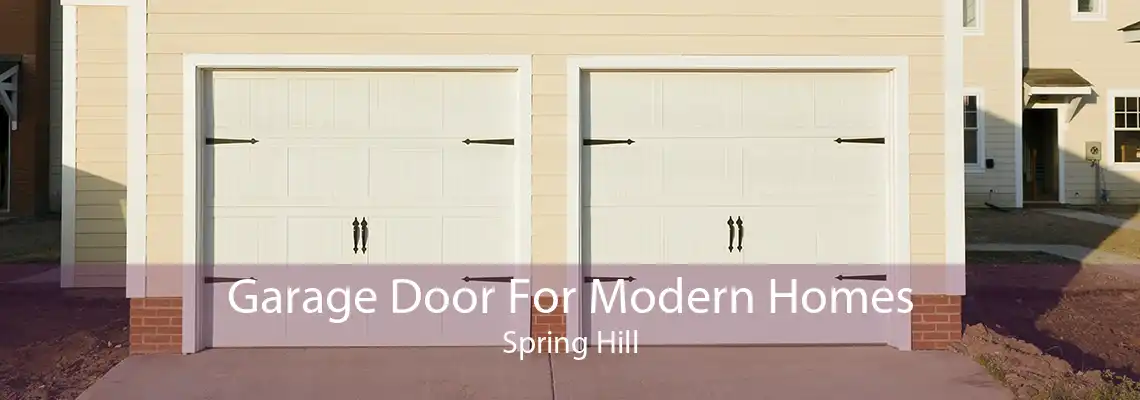 Garage Door For Modern Homes Spring Hill