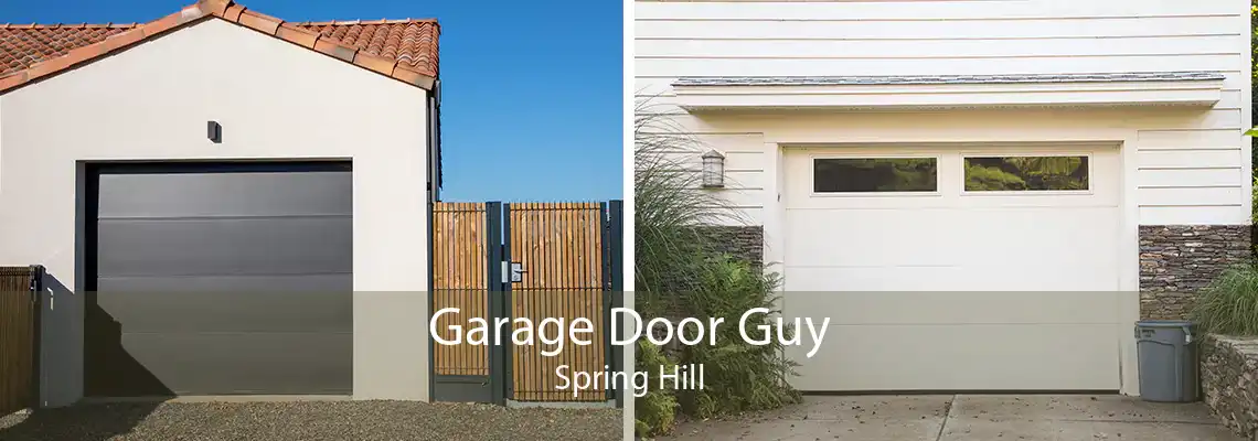 Garage Door Guy Spring Hill