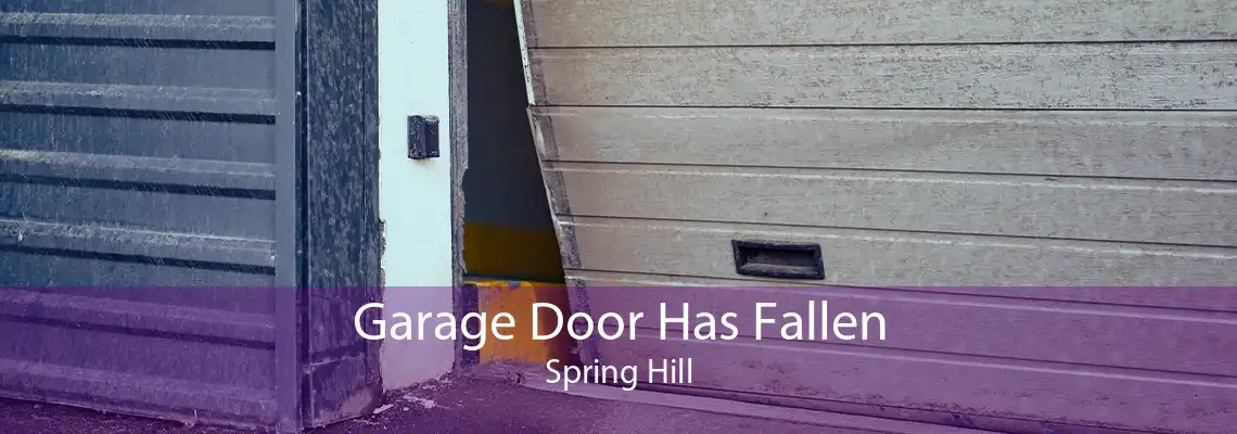 Garage Door Has Fallen Spring Hill