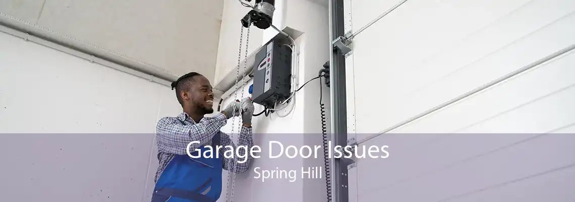 Garage Door Issues Spring Hill