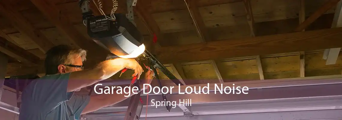 Garage Door Loud Noise Spring Hill