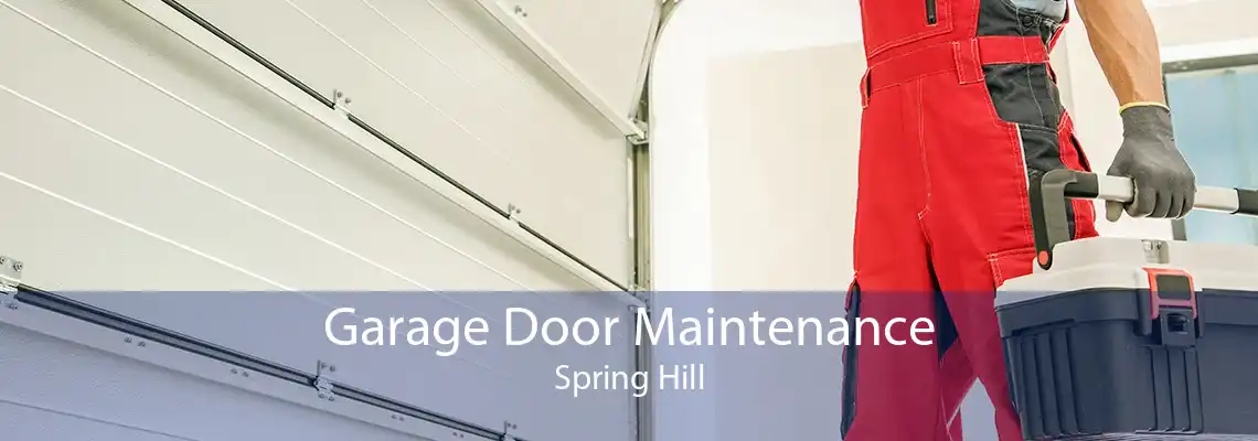 Garage Door Maintenance Spring Hill