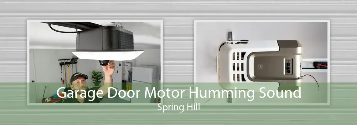 Garage Door Motor Humming Sound Spring Hill