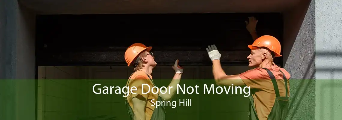 Garage Door Not Moving Spring Hill