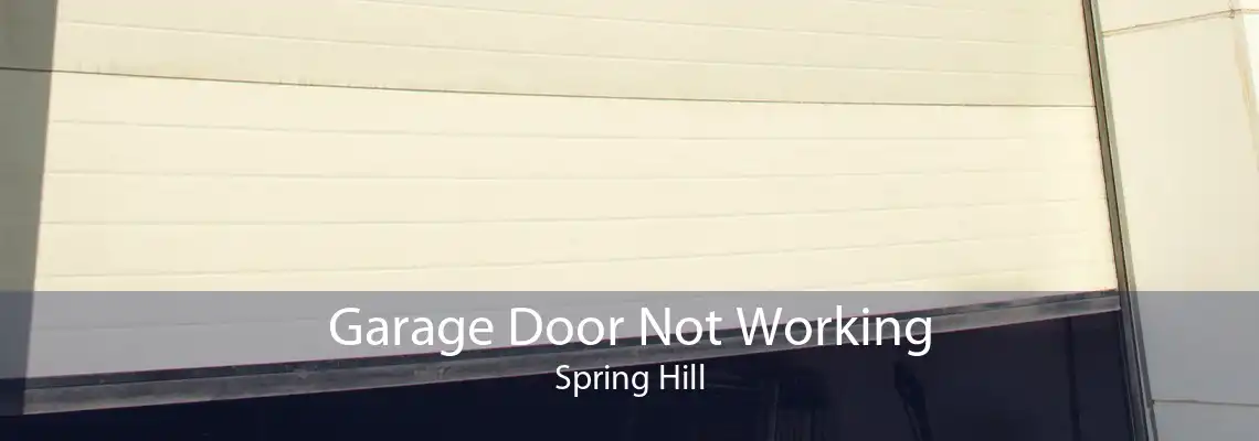 Garage Door Not Working Spring Hill