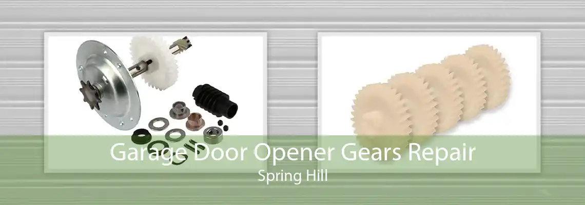 Garage Door Opener Gears Repair Spring Hill