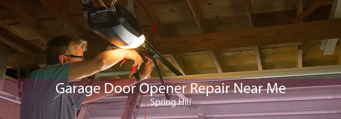 Garage Door Opener Repair Near Me Spring Hill
