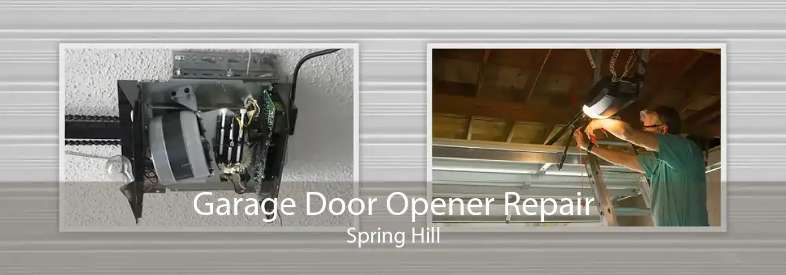 Garage Door Opener Repair Spring Hill