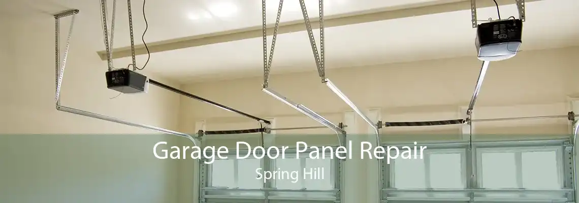 Garage Door Panel Repair Spring Hill