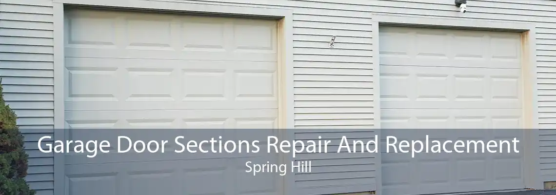 Garage Door Sections Repair And Replacement Spring Hill