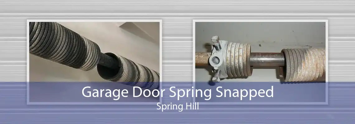Garage Door Spring Snapped Spring Hill
