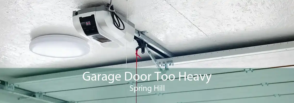 Garage Door Too Heavy Spring Hill
