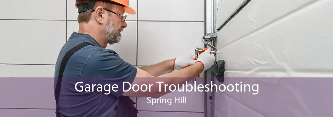 Garage Door Troubleshooting Spring Hill