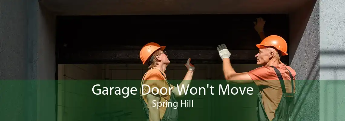 Garage Door Won't Move Spring Hill