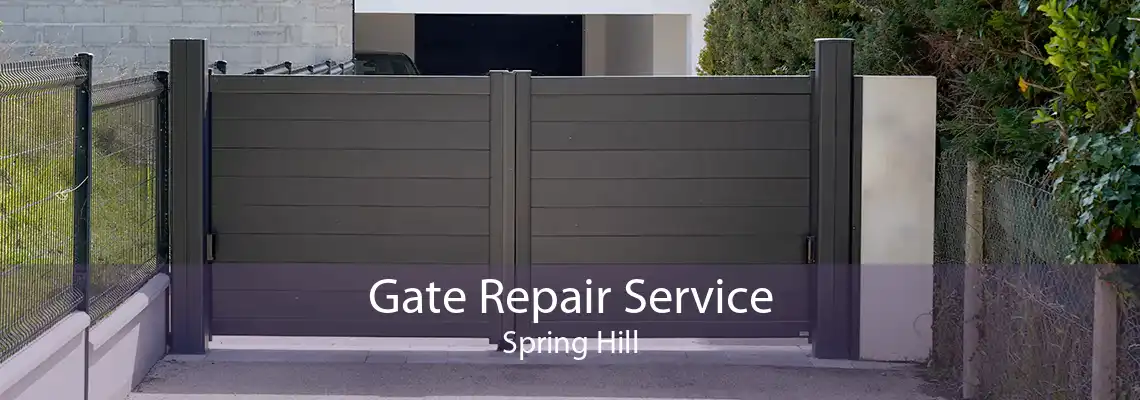 Gate Repair Service Spring Hill
