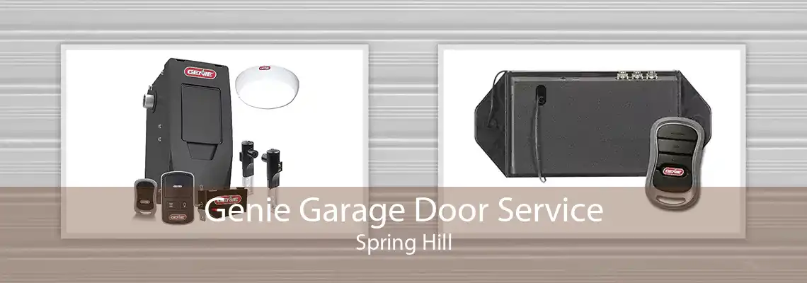 Genie Garage Door Service Spring Hill