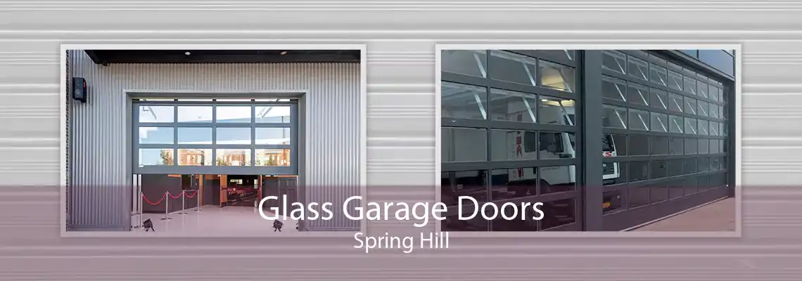 Glass Garage Doors Spring Hill