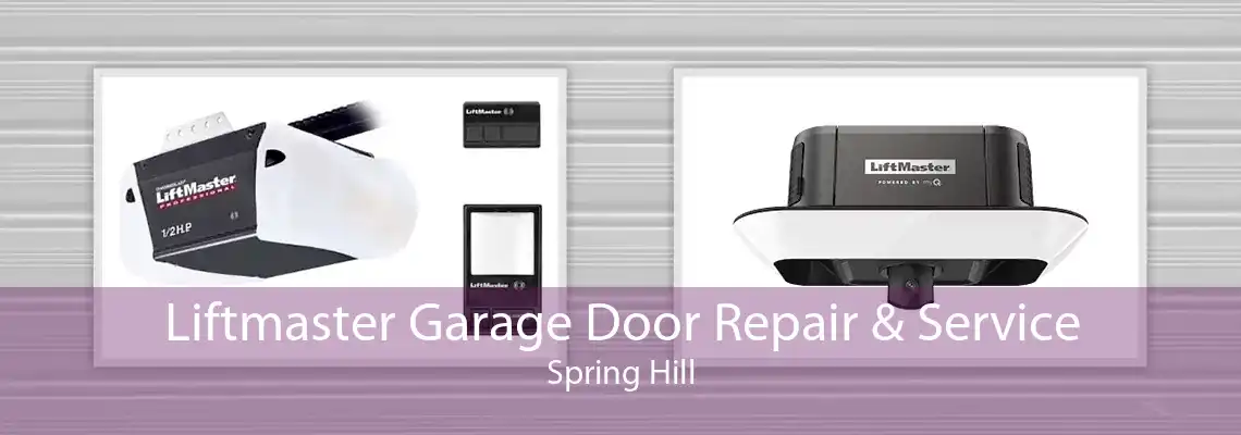 Liftmaster Garage Door Repair & Service Spring Hill