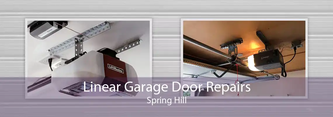 Linear Garage Door Repairs Spring Hill