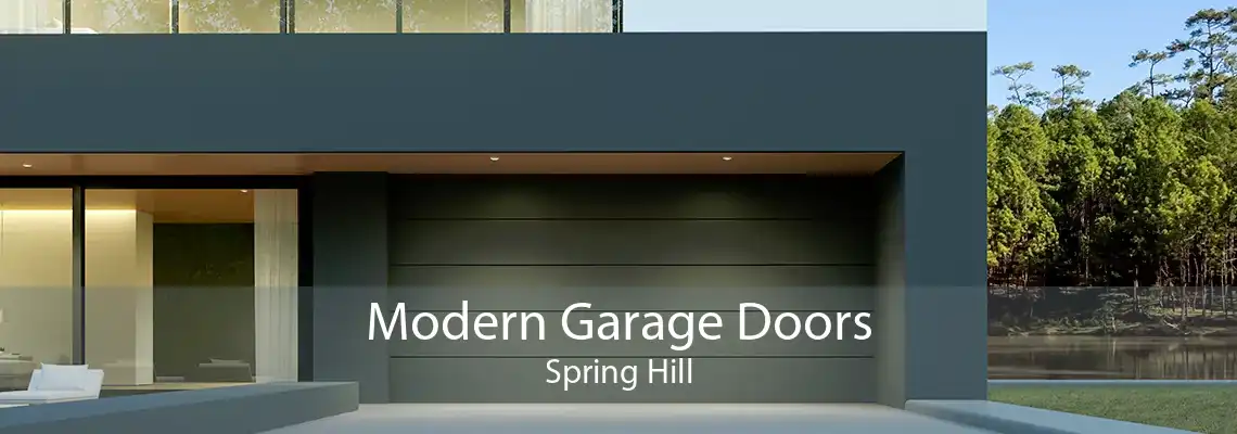 Modern Garage Doors Spring Hill