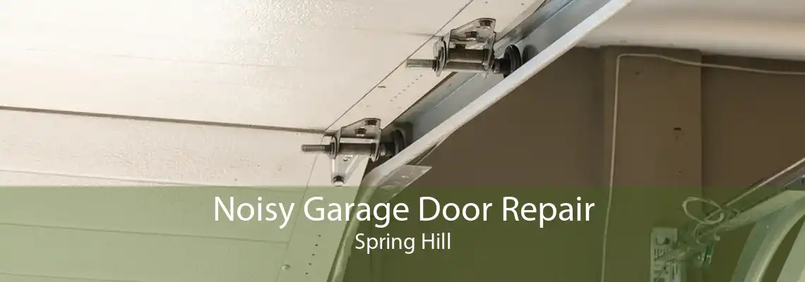 Noisy Garage Door Repair Spring Hill