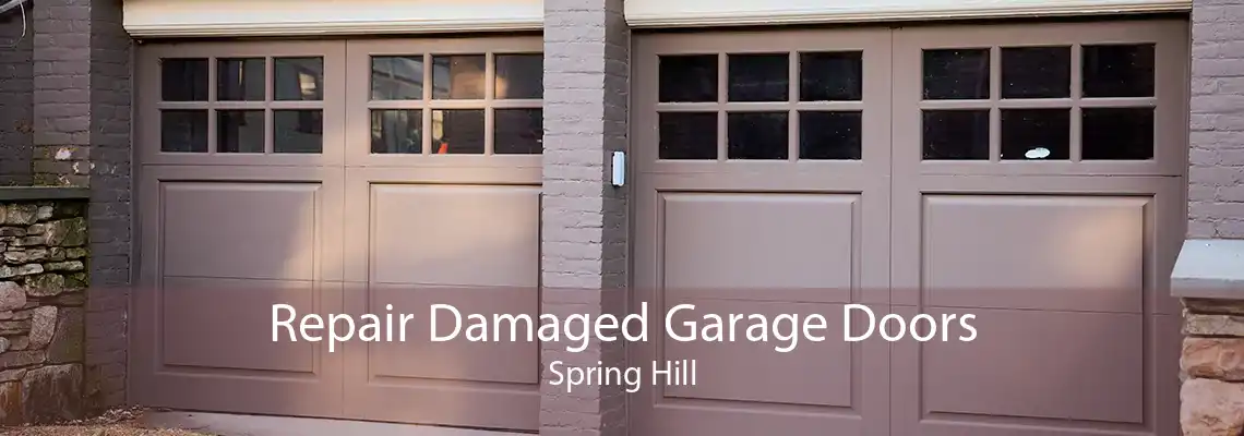 Repair Damaged Garage Doors Spring Hill