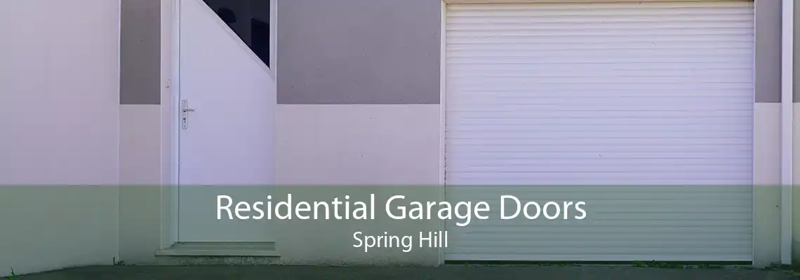 Residential Garage Doors Spring Hill