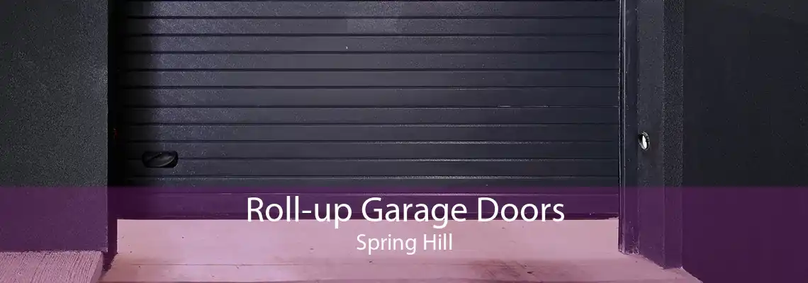 Roll-up Garage Doors Spring Hill