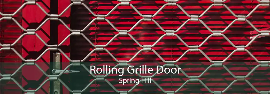 Rolling Grille Door Spring Hill